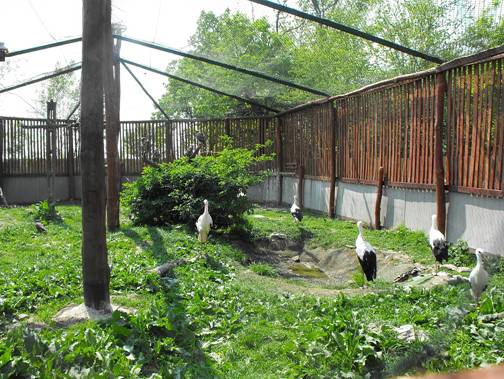 Hortobgyi Madrpark, 3., 4