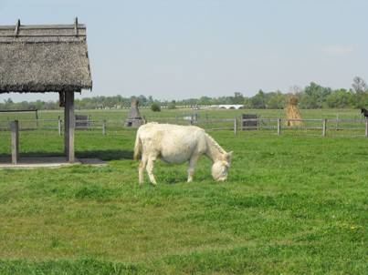 Pusztai llatpark, 3., 7