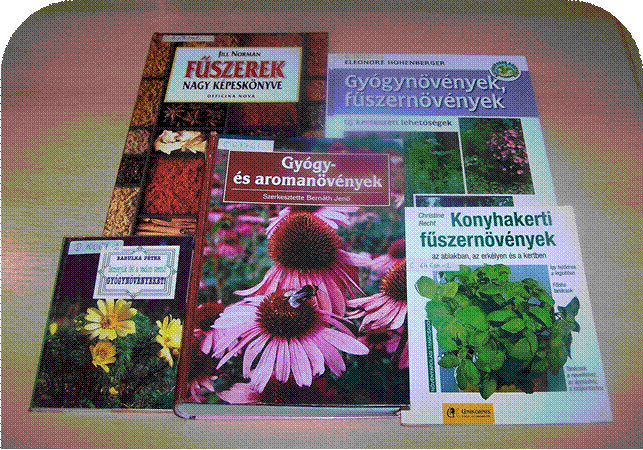 bbgr_kakukk_2.jpg