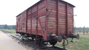 11. PK. Birkenau1.jpg