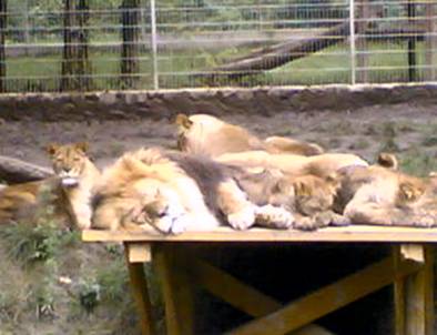 image001.jpg